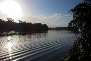 Parque Nacional Tortuguero
